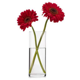 Florero Chipinque 9x25 cm